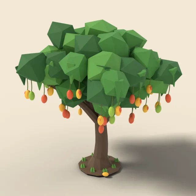Mango tree with hanging fruit
