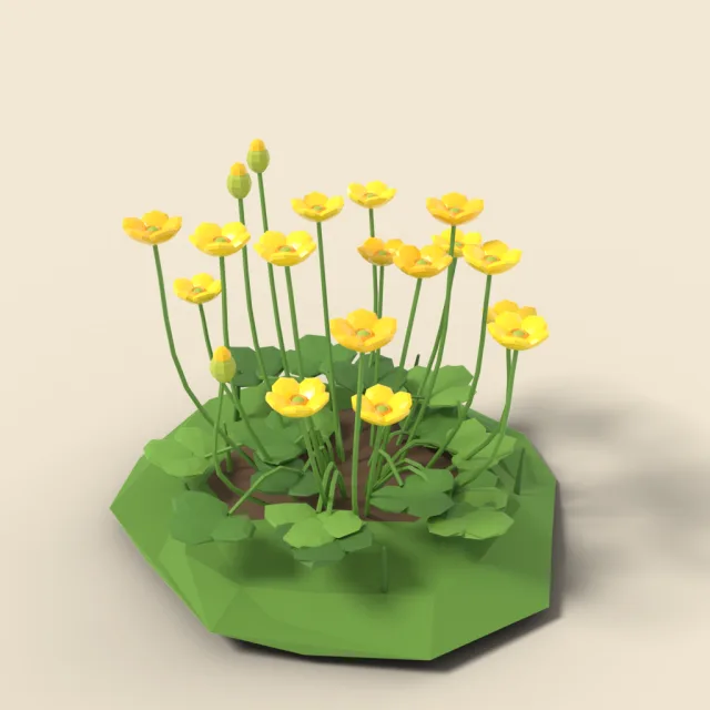 Yellow buttercup cluster