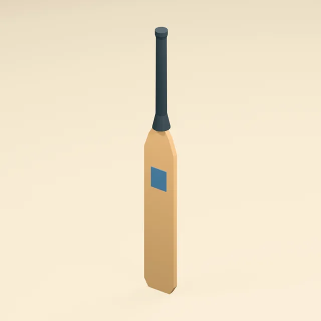 Willow cricket bat with raised back spine