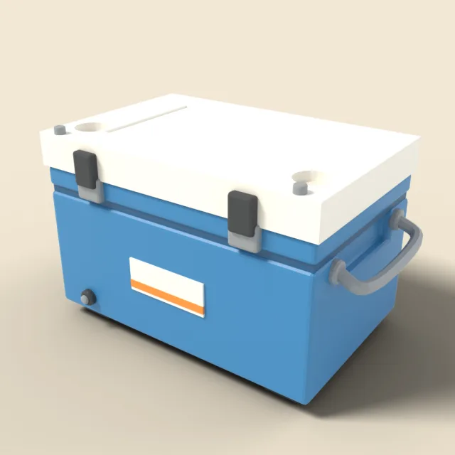 Camping cooler box with handles