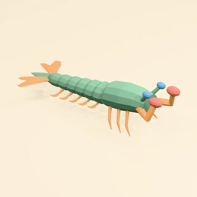 mantis_shrimp_segmented_fan_000