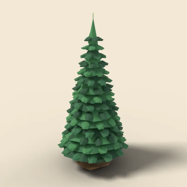 Tall dense fir with conical crown
