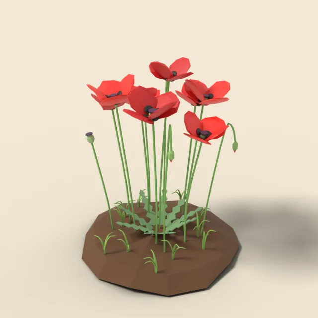 Red poppy cluster