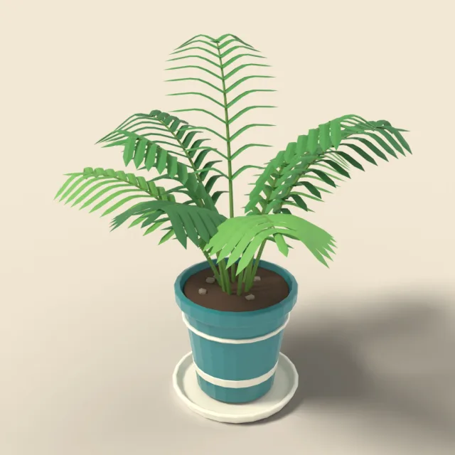 Parlor palm in ceramic pot