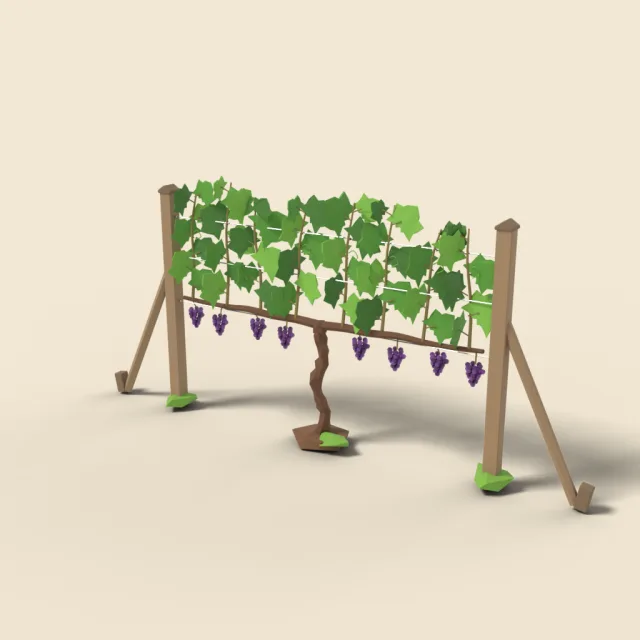 Grapevine on wire with grapes