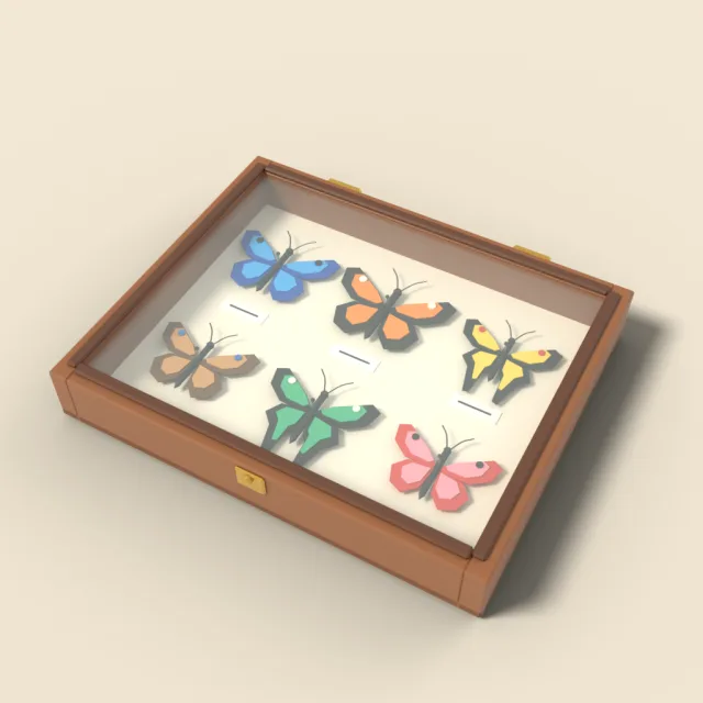 Butterfly display case