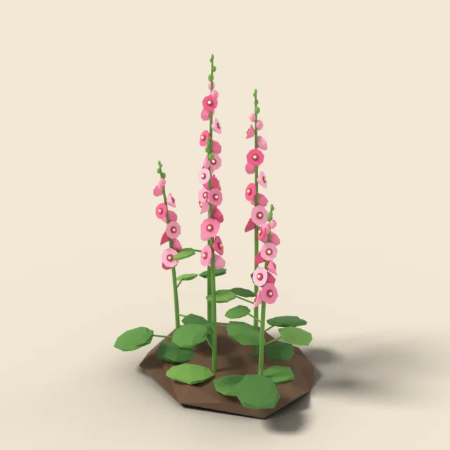 Pink hollyhock stalks