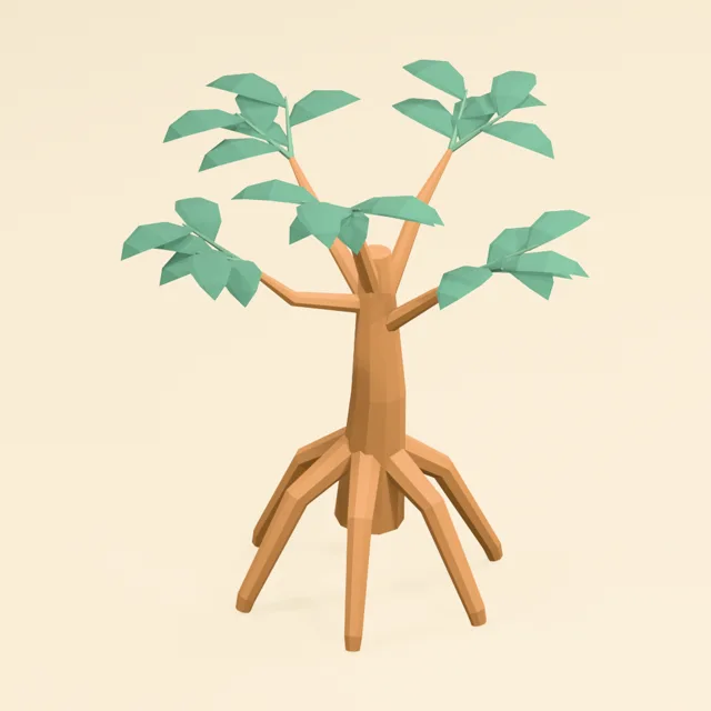 mangrove_morphology_refined_000