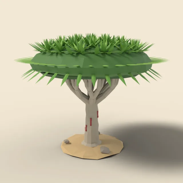 Dragon blood tree with umbrella crown