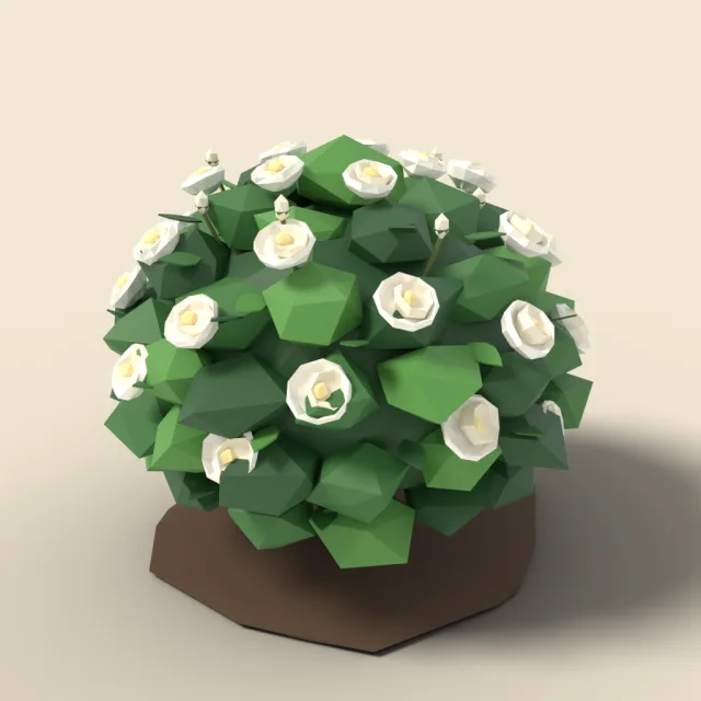 White rose bush with full blooms