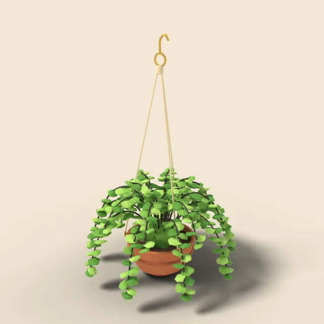 Maidenhair fern in hanging pot