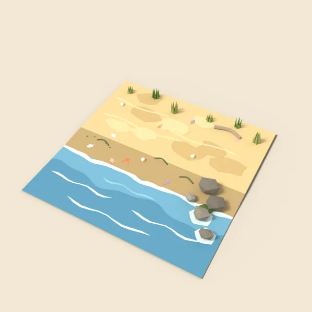 Beach shoreline tile with shallow water