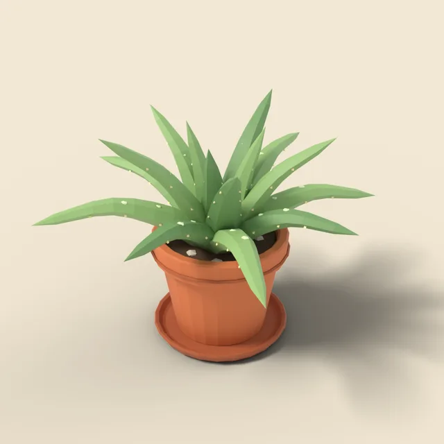 Potted aloe vera