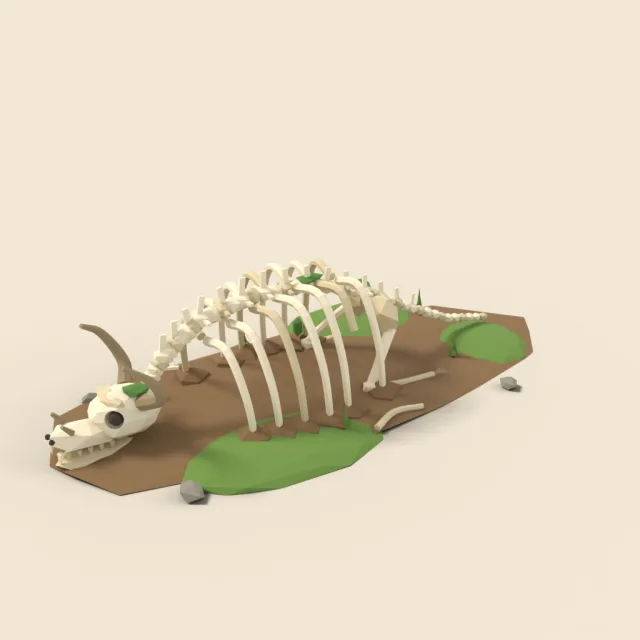 Giant beast fossil skeleton