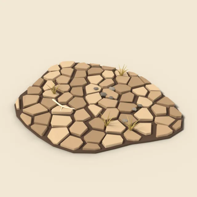 Cracked dry mud flat