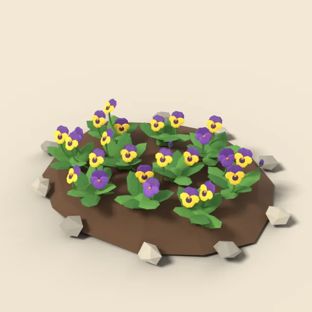 Pansy patch in purple and yellow