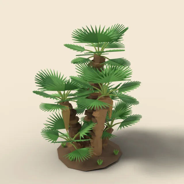 Dwarf palm with bushy fronds