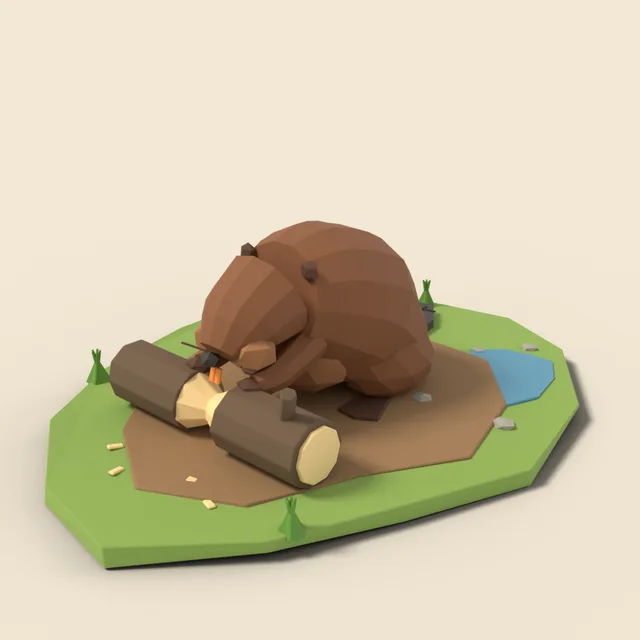 Beaver gnawing a log