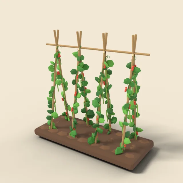 Bean vines on tall poles