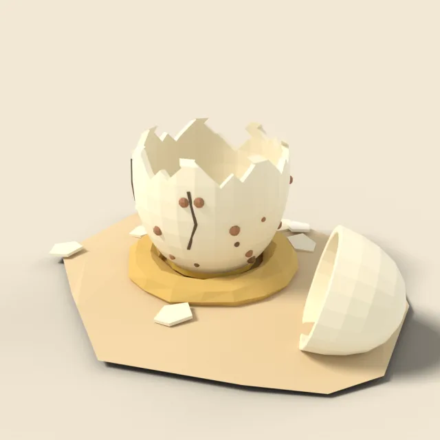 Cracked giant eggshell