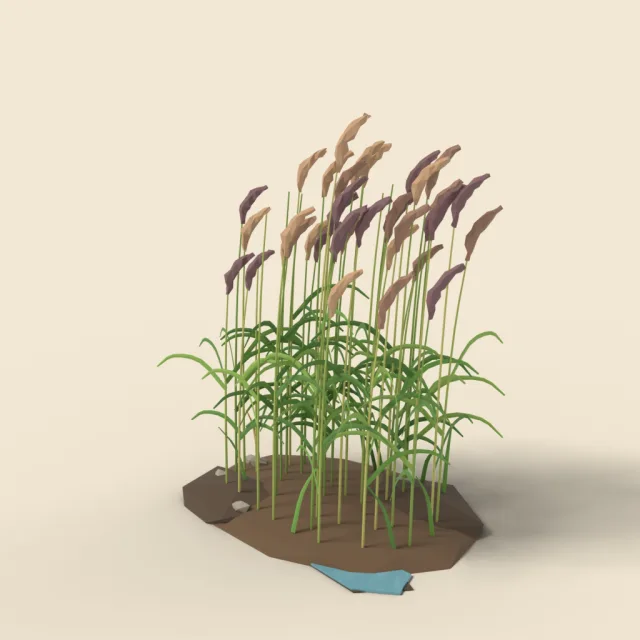 Tall reed bed clump