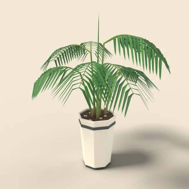 Kentia palm in tall planter