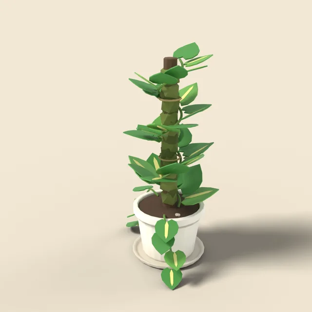 Pothos vine on moss pole