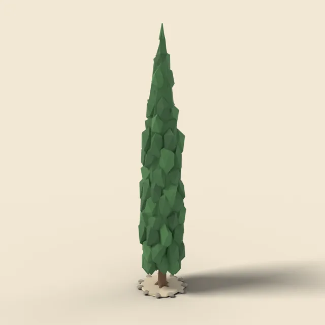 Cypress tree tall and narrow
