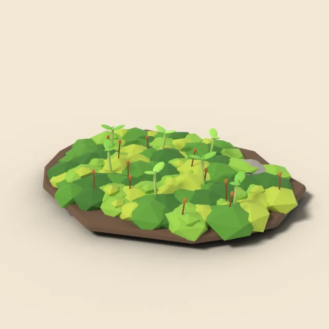 Moss patch with tiny sprouts