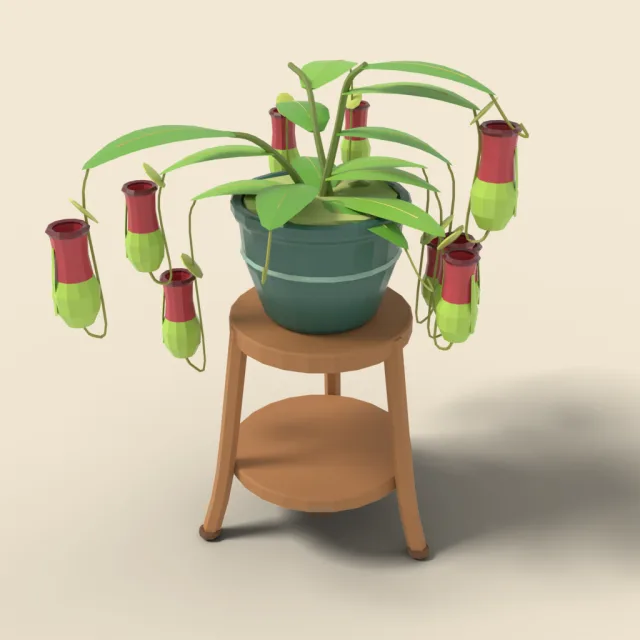 Pitcher plant with hanging traps