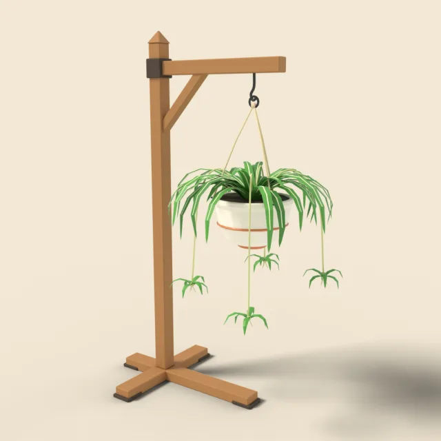 Spider plant in hanging pot