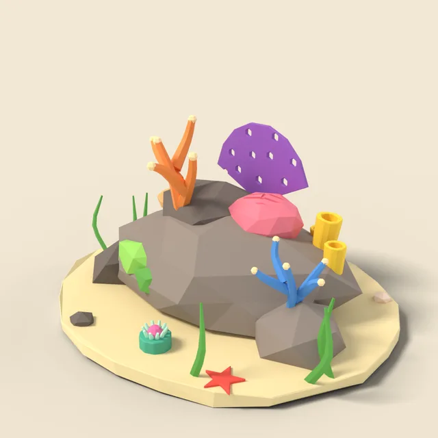 Coral reef rock outcrop