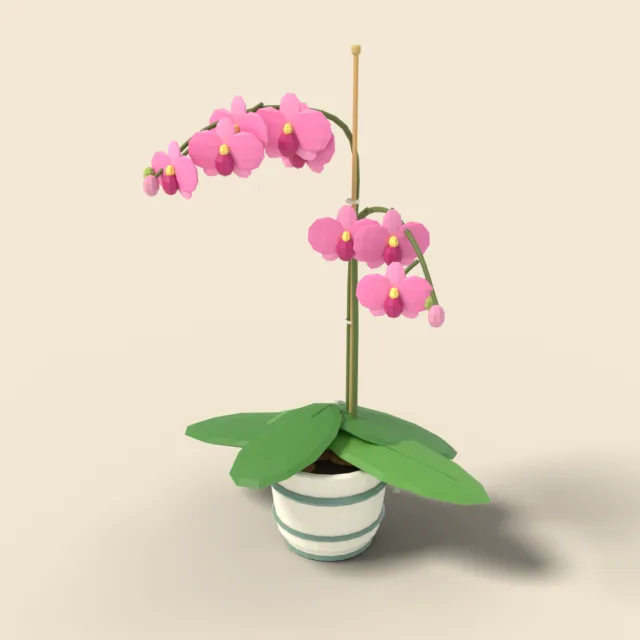 Pink orchid in ceramic pot