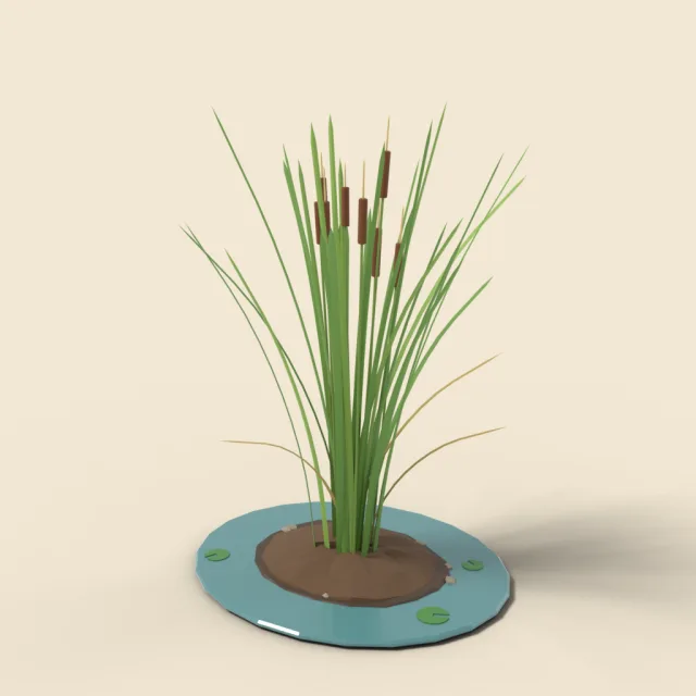 Cattail reeds clump