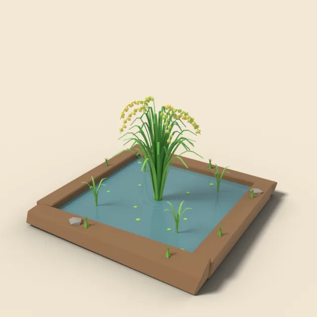 Rice plant clump in water
