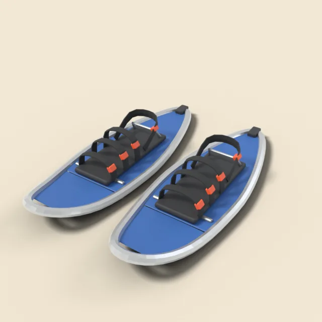 Snowshoes with binding straps