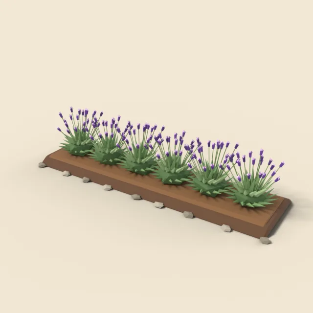 French lavender row