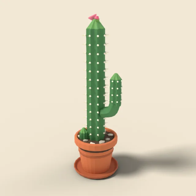 Tall column cactus in pot