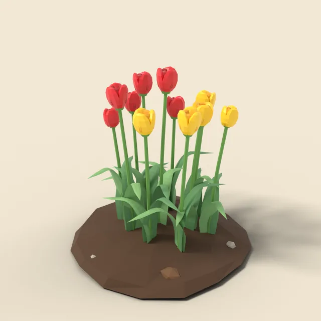 Tulip cluster in red and yellow