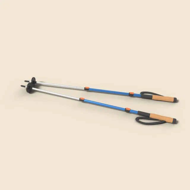 Trekking poles pair with baskets