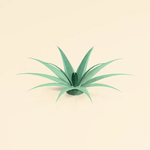 agave_curved_lances_000