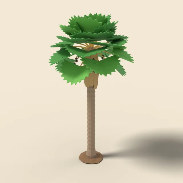 Fan palm with round fronds