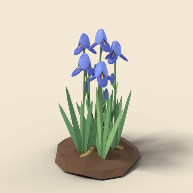 Blue bearded iris clump