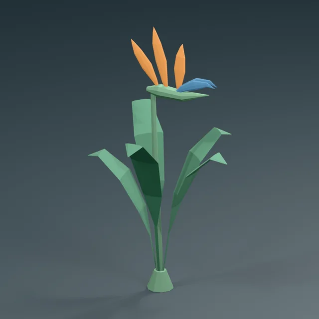 tapered_spathe_flower_bird_of_paradise
