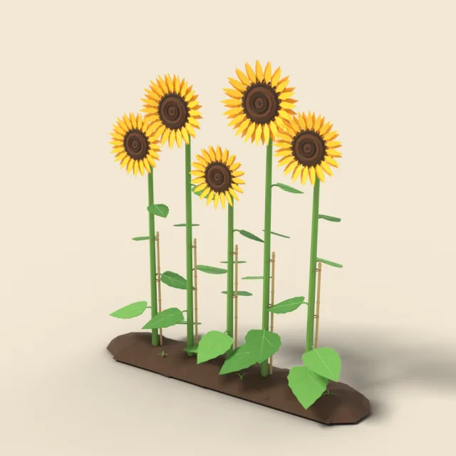 Row of tall sunflowers