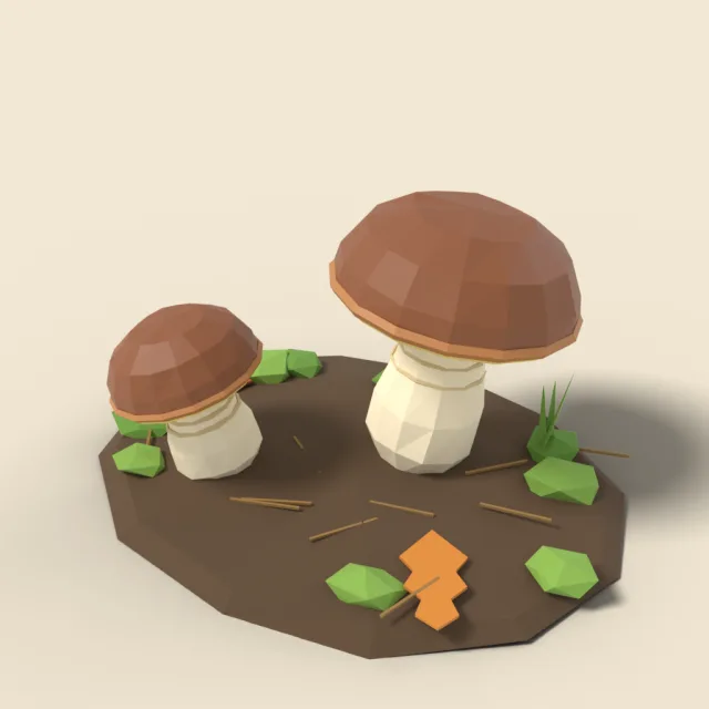 Brown porcini mushroom pair