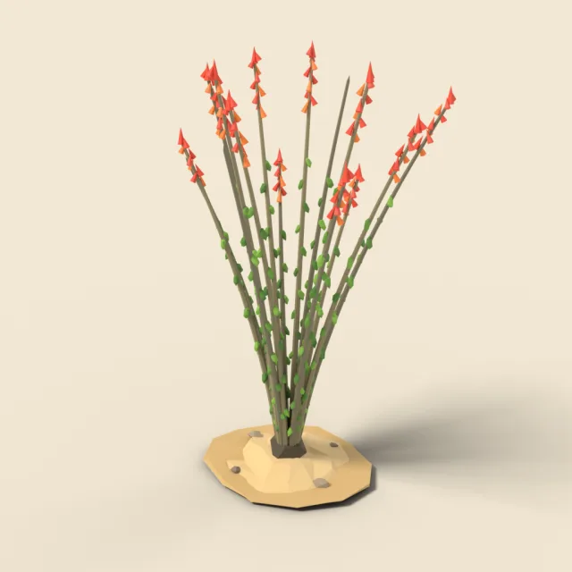 Ocotillo with whip stems