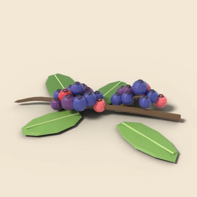 Wild berry cluster