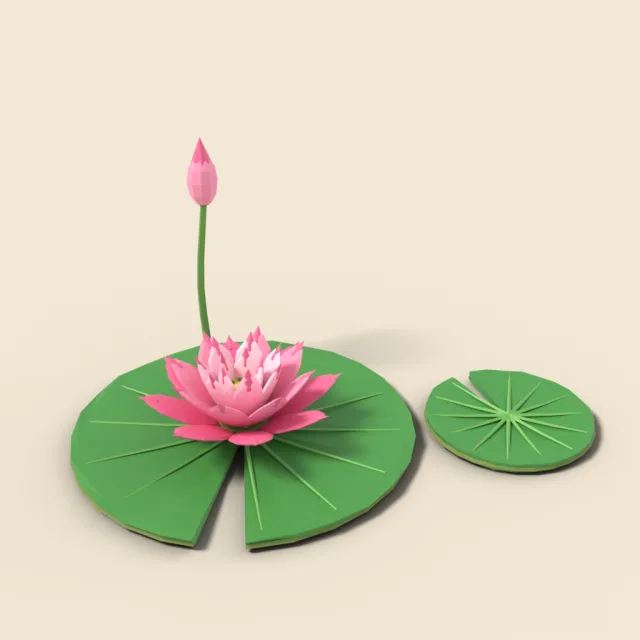 Lotus flower on lily pad