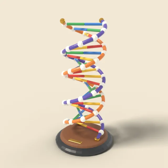 DNA double helix model